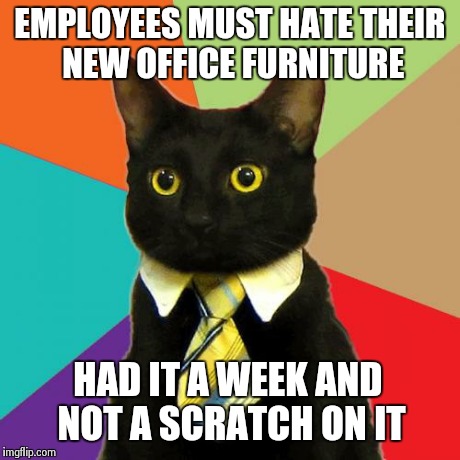 When employees don't appreciate expensive new office furniture | EMPLOYEES MUST HATE THEIR NEW OFFICE FURNITURE HAD IT A WEEK AND NOT A SCRATCH ON IT | image tagged in memes,business cat | made w/ Imgflip meme maker