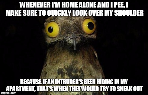 Weird Stuff I Do Potoo | WHENEVER I'M HOME ALONE AND I PEE, I MAKE SURE TO QUICKLY LOOK OVER MY SHOULDER BECAUSE IF AN INTRUDER'S BEEN HIDING IN MY APARTMENT, THAT'S | image tagged in memes,weird stuff i do potoo | made w/ Imgflip meme maker