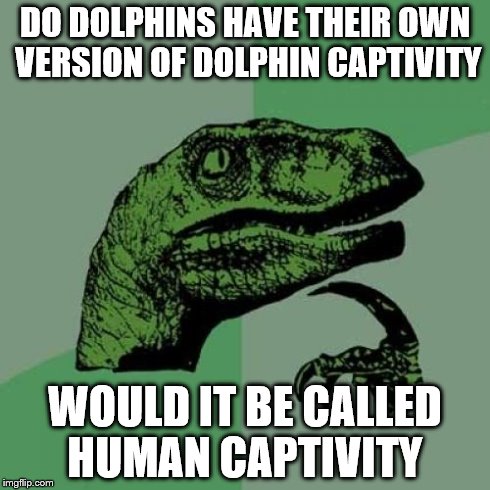 Philosoraptor | DO DOLPHINS HAVE THEIR OWN VERSION OF DOLPHIN CAPTIVITY WOULD IT BE CALLED HUMAN CAPTIVITY | image tagged in memes,philosoraptor | made w/ Imgflip meme maker