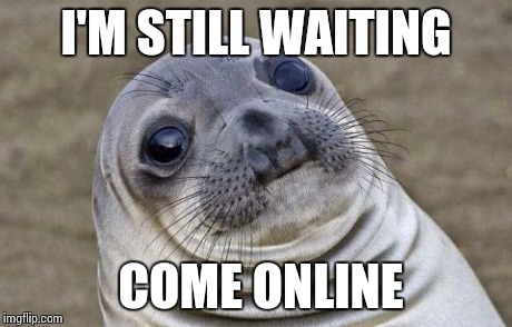 Awkward Moment Sealion Meme | I'M STILL WAITING COME ONLINE | image tagged in memes,awkward moment sealion | made w/ Imgflip meme maker