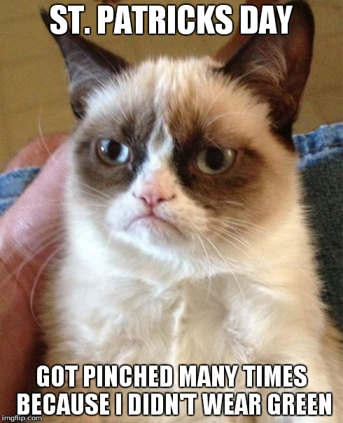 Grumpy Cat | ST. PATRICKS DAY GOT PINCHED MANY TIMES BECAUSE I DIDN'T WEAR GREEN | image tagged in memes,grumpy cat | made w/ Imgflip meme maker