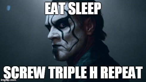 Sting WWE | EAT SLEEP SCREW TRIPLE H REPEAT | image tagged in sting wwe | made w/ Imgflip meme maker