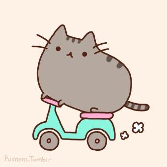 High Quality Pusheen Scooter Blank Meme Template