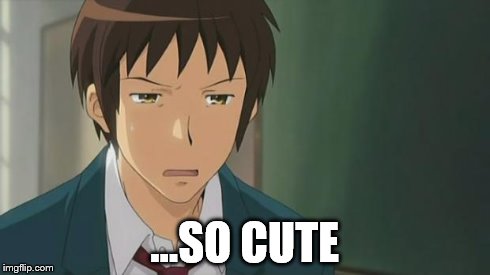 Kyon WTF | ...SO CUTE | image tagged in kyon wtf | made w/ Imgflip meme maker