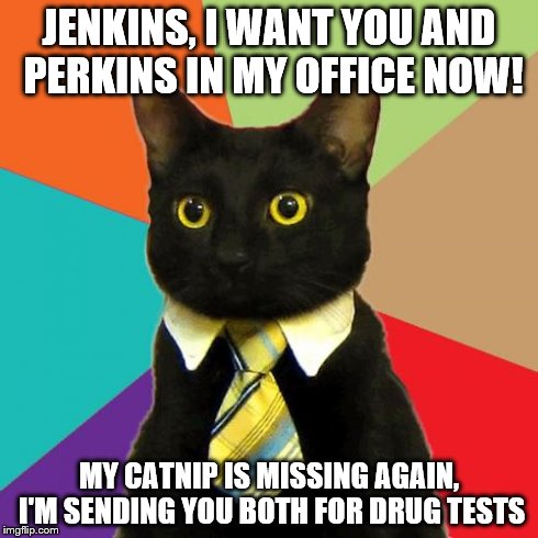 Business Cat Meme | JENKINS, I WANT YOU AND PERKINS IN MY OFFICE NOW! MY CATNIP IS MISSING AGAIN, I'M SENDING YOU BOTH FOR DRUG TESTS | image tagged in memes,business cat | made w/ Imgflip meme maker