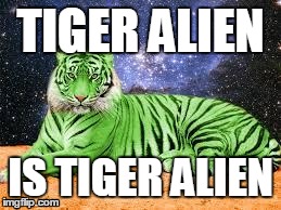 Just because... | TIGER ALIEN IS TIGER ALIEN | image tagged in tiger alien | made w/ Imgflip meme maker