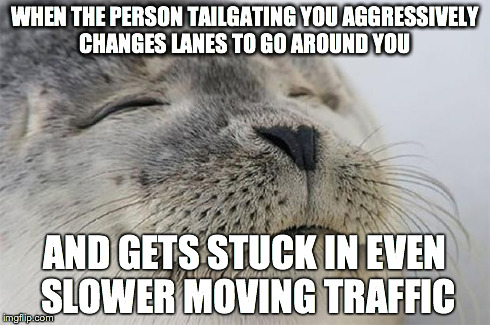 Satisfied Seal Meme | WHEN THE PERSON TAILGATING YOU AGGRESSIVELY CHANGES LANES TO GO AROUND YOU AND GETS STUCK IN EVEN SLOWER MOVING TRAFFIC | image tagged in memes,satisfied seal,AdviceAnimals | made w/ Imgflip meme maker