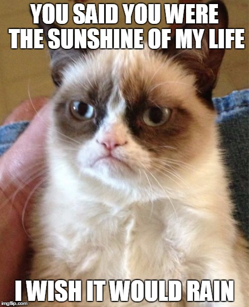 Grumpy Cat | YOU SAID YOU WERE THE SUNSHINE OF MY LIFE I WISH IT WOULD RAIN | image tagged in memes,grumpy cat | made w/ Imgflip meme maker