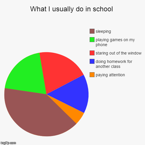 image tagged in funny,pie charts | made w/ Imgflip chart maker