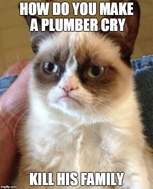 Grumpy Cat Meme | HOW DO YOU MAKE A PLUMBER CRY KILL HIS FAMILY | image tagged in memes,grumpy cat | made w/ Imgflip meme maker