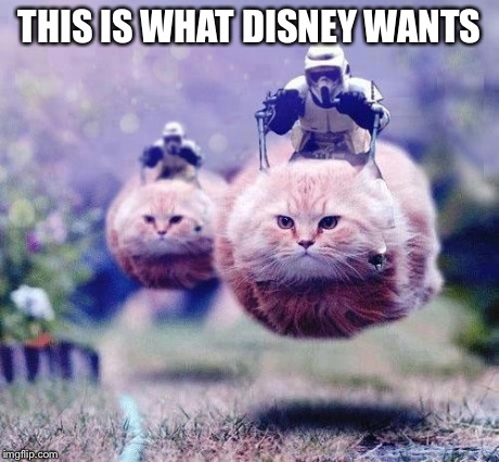 Storm Trooper Cats | THIS IS WHAT DISNEY WANTS | image tagged in storm trooper cats | made w/ Imgflip meme maker