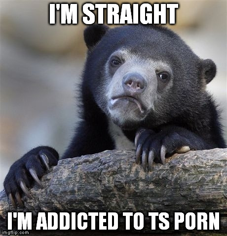 Confession Bear Meme | I'M STRAIGHT I'M ADDICTED TO TS PORN | image tagged in memes,confession bear | made w/ Imgflip meme maker