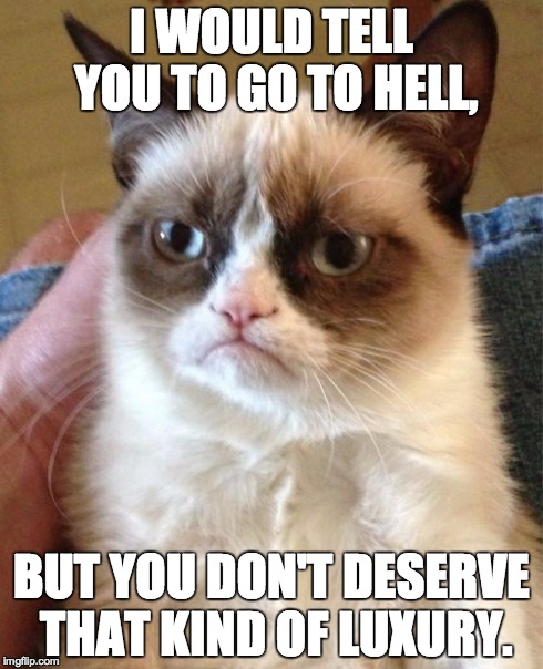 Grumpy Cat Meme | I WOULD TELL YOU TO GO TO HELL, BUT YOU DON'T DESERVE THAT KIND OF LUXURY. | image tagged in memes,grumpy cat,hell,special,cats,funny | made w/ Imgflip meme maker