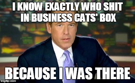 Brian Williams Was There | I KNOW EXACTLY WHO SHIT IN BUSINESS CATS' BOX BECAUSE I WAS THERE | image tagged in memes,brian williams was there | made w/ Imgflip meme maker