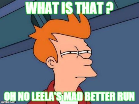 Futurama Fry | WHAT IS THAT ? OH NO LEELA'S MAD BETTER RUN | image tagged in memes,futurama fry | made w/ Imgflip meme maker