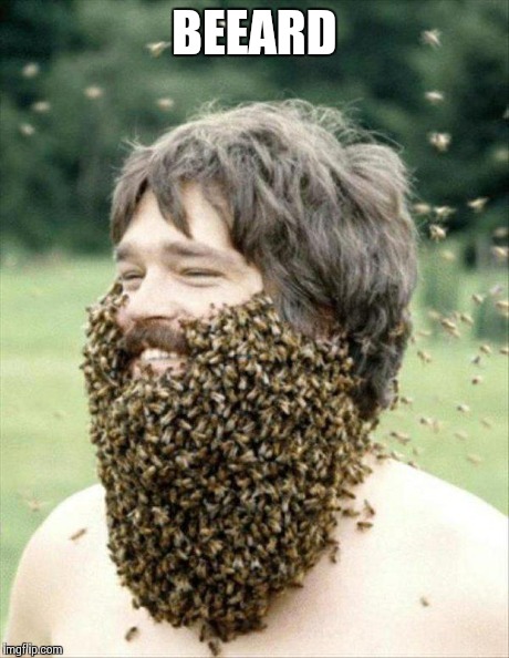 What's the buzz about | BEEARD | image tagged in memes,funny,funny memes,beard,bees,beards | made w/ Imgflip meme maker