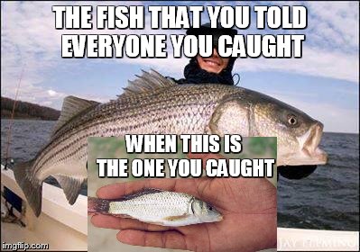 fish story | THE FISH THAT YOU TOLD EVERYONE YOU CAUGHT WHEN THIS IS THE ONE YOU CAUGHT | image tagged in fish story | made w/ Imgflip meme maker