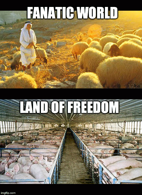 industry versus nature | FANATIC WORLD LAND OF FREEDOM | image tagged in islam fanatic industry inverted values | made w/ Imgflip meme maker