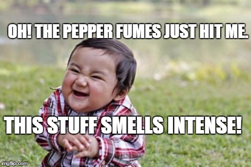 Evil Toddler Meme | OH! THE PEPPER FUMES JUST HIT ME. THIS STUFF SMELLS INTENSE! | image tagged in memes,evil toddler | made w/ Imgflip meme maker