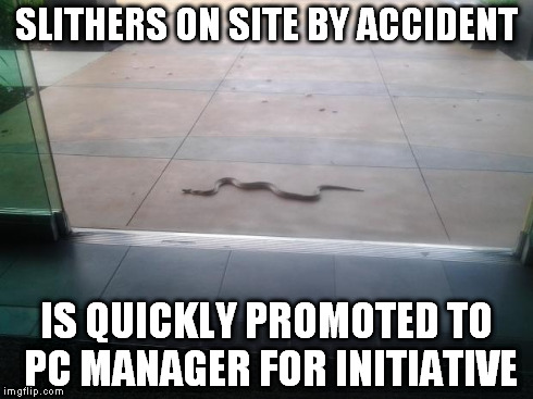 Business Snake (original) | SLITHERS ON SITE BY ACCIDENT IS QUICKLY PROMOTED TO PC MANAGER FOR INITIATIVE | image tagged in kca,snake,management,business | made w/ Imgflip meme maker