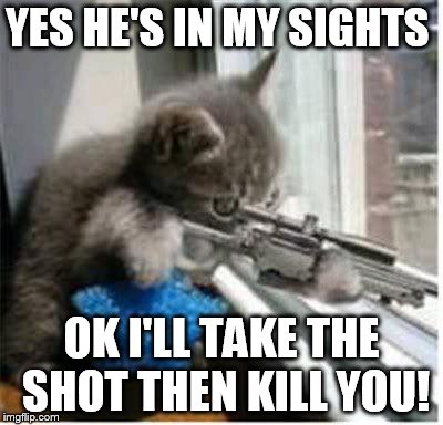 cats with guns | YES HE'S IN MY SIGHTS OK I'LL TAKE THE SHOT THEN KILL YOU! | image tagged in cats with guns | made w/ Imgflip meme maker