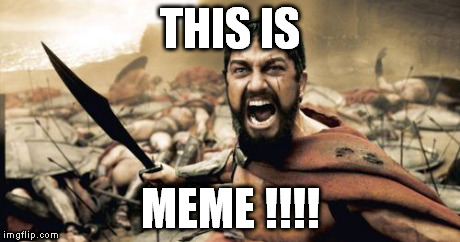 Sparta Leonidas Meme | THIS IS MEME !!!! | image tagged in memes,sparta leonidas | made w/ Imgflip meme maker