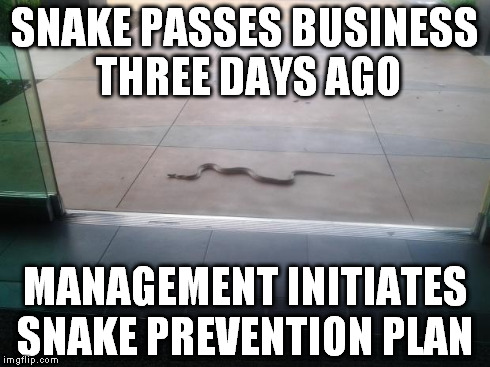 SNAKE PASSES BUSINESS THREE DAYS AGO MANAGEMENT INITIATES SNAKE PREVENTION PLAN | image tagged in business snake | made w/ Imgflip meme maker