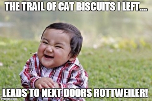 Evil Toddler Meme | THE TRAIL OF CAT BISCUITS I LEFT.... LEADS TO NEXT DOORS ROTTWEILER! | image tagged in memes,evil toddler | made w/ Imgflip meme maker