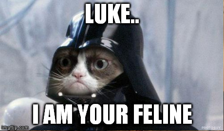 furry wars | LUKE.. I AM YOUR FELINE | image tagged in grumpy,star wars | made w/ Imgflip meme maker
