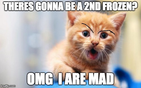 THERES GONNA BE A 2ND FROZEN? OMG I ARE MAD | image tagged in omg cat,frozen | made w/ Imgflip meme maker