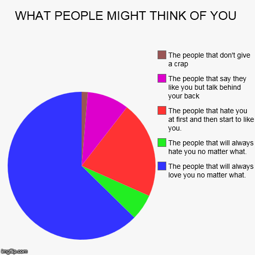 image tagged in funny,pie charts | made w/ Imgflip chart maker