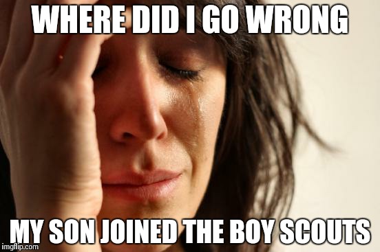 First World Problems | WHERE DID I GO WRONG MY SON JOINED THE BOY SCOUTS | image tagged in memes,first world problems | made w/ Imgflip meme maker