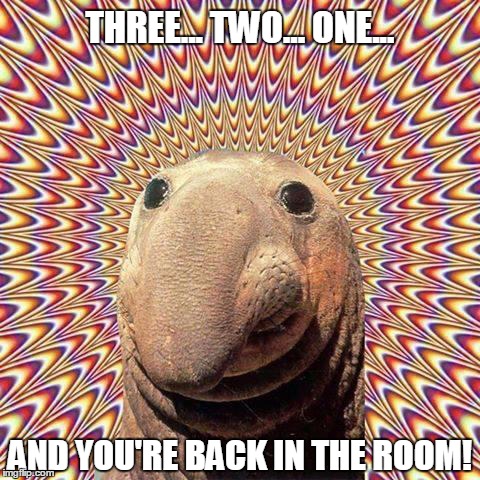 THREE... TWO... ONE... AND YOU'RE BACK IN THE ROOM! | image tagged in trippy thingy | made w/ Imgflip meme maker