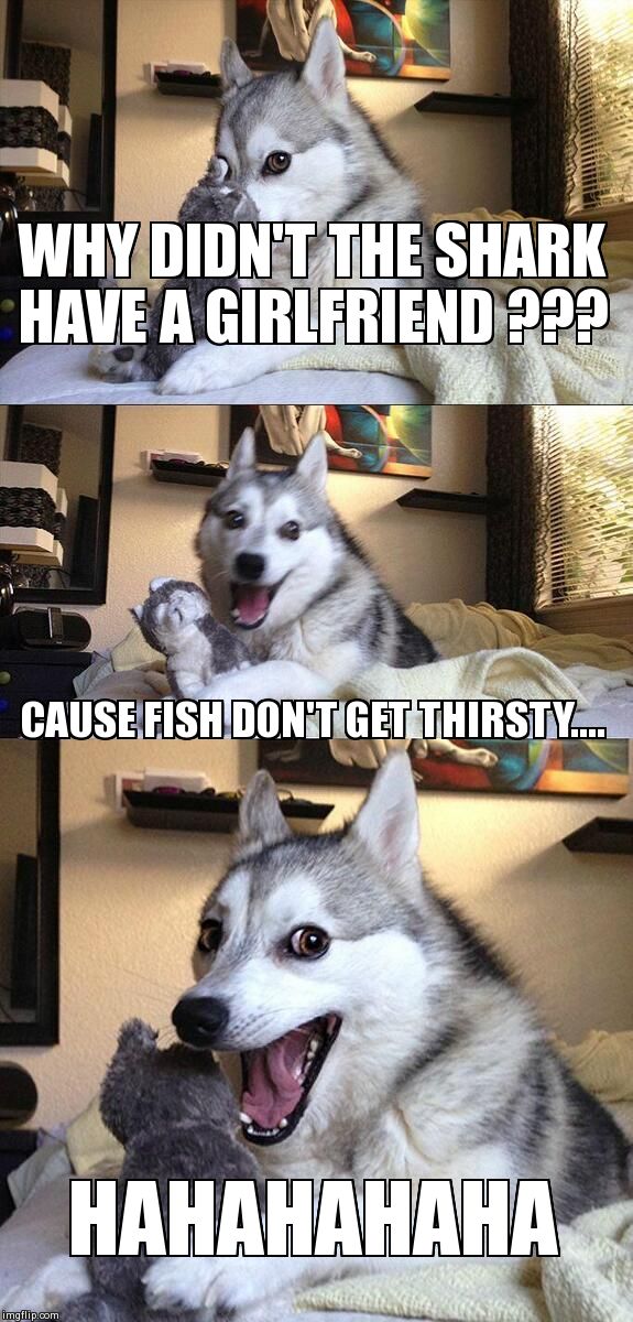 Bad Pun Dog | WHY DIDN'T THE SHARK HAVE A GIRLFRIEND ??? CAUSE FISH DON'T GET THIRSTY.... HAHAHAHAHA | image tagged in memes,bad pun dog | made w/ Imgflip meme maker