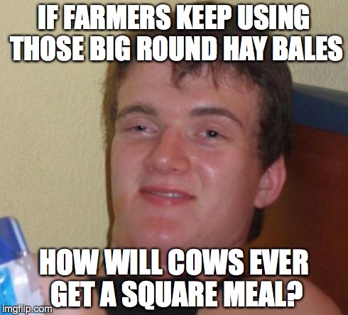 10 Guy Meme | IF FARMERS KEEP USING THOSE BIG ROUND HAY BALES HOW WILL COWS EVER GET A SQUARE MEAL? | image tagged in memes,10 guy | made w/ Imgflip meme maker