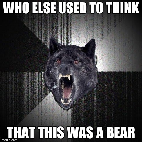 Insanity Wolf | WHO ELSE USED TO THINK THAT THIS WAS A BEAR | image tagged in memes,insanity wolf | made w/ Imgflip meme maker