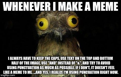 Weird Stuff I Do Potoo Meme | WHENEVER I MAKE A MEME I ALWAYS HAVE TO KEEP THE CAPS, USE TEXT ON THE TOP AND BOTTOM HALF OF THE IMAGE, USE "AND" INSTEAD OF "&", AND TRY T | image tagged in memes,weird stuff i do potoo | made w/ Imgflip meme maker