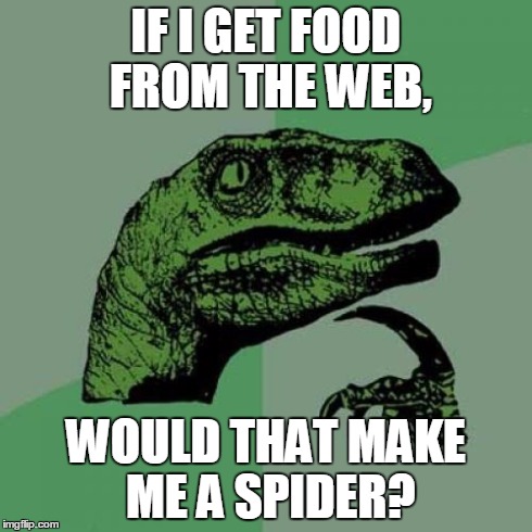 Ah the internet | IF I GET FOOD FROM THE WEB, WOULD THAT MAKE ME A SPIDER? | image tagged in memes,philosoraptor | made w/ Imgflip meme maker