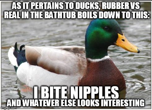 Tidbits | AS IT PERTAINS TO DUCKS, RUBBER VS REAL IN THE BATHTUB BOILS DOWN TO THIS: I BITE NIPPLES AND WHATEVER ELSE LOOKS INTERESTING | image tagged in memes,actual advice mallard | made w/ Imgflip meme maker