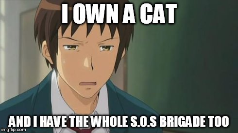 Kyon WTF | I OWN A CAT AND I HAVE THE WHOLE S.O.S BRIGADE TOO | image tagged in kyon wtf | made w/ Imgflip meme maker