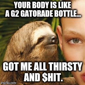 Whisper Sloth Meme | YOUR BODY IS LIKE A G2 GATORADE BOTTLE... GOT ME ALL THIRSTY AND $HIT. | image tagged in memes,whisper sloth | made w/ Imgflip meme maker