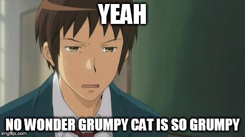 Kyon WTF | YEAH NO WONDER GRUMPY CAT IS SO GRUMPY | image tagged in kyon wtf | made w/ Imgflip meme maker
