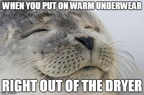One of the most comfy feelings in the world | WHEN YOU PUT ON WARM UNDERWEAR RIGHT OUT OF THE DRYER | image tagged in memes,satisfied seal,lol,paradise,seal,relaxed office guy | made w/ Imgflip meme maker