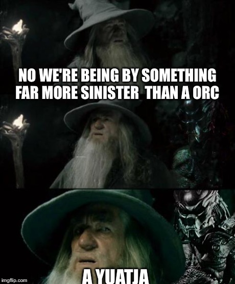 NO WE'RE BEING BY SOMETHING FAR MORE SINISTER  THAN A ORC A YUATJA | image tagged in gandalf vs predator | made w/ Imgflip meme maker