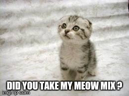 Sad Cat | DID YOU TAKE MY MEOW MIX ? | image tagged in memes,sad cat | made w/ Imgflip meme maker