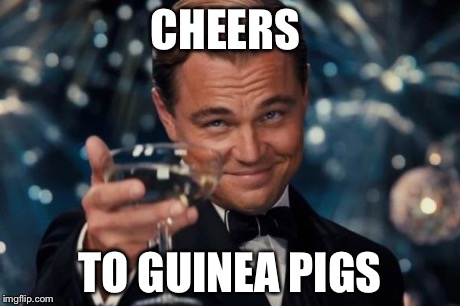 Leonardo Dicaprio Cheers Meme | CHEERS TO GUINEA PIGS | image tagged in memes,leonardo dicaprio cheers | made w/ Imgflip meme maker