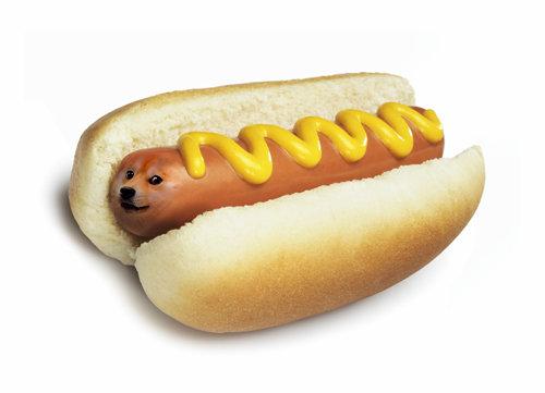 doge hot doge Blank Meme Template