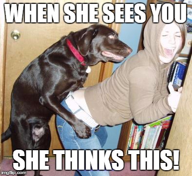 "She thinks" | WHEN SHE SEES YOU SHE THINKS THIS! | image tagged in doggie | made w/ Imgflip meme maker