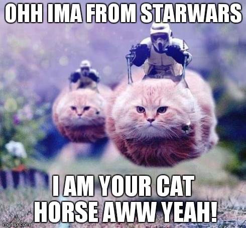 Storm Trooper Cats | OHH IMA FROM STARWARS I AM YOUR CAT HORSE AWW YEAH! | image tagged in storm trooper cats | made w/ Imgflip meme maker