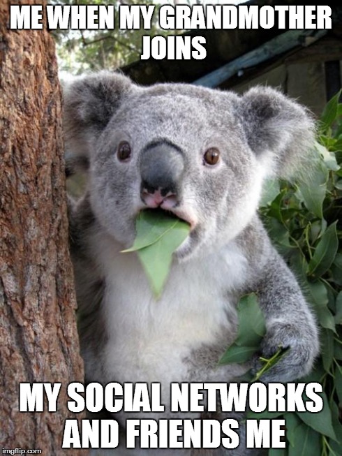 Surprised Koala | ME WHEN MY GRANDMOTHER JOINS MY SOCIAL NETWORKS AND FRIENDS ME | image tagged in memes,surprised koala | made w/ Imgflip meme maker